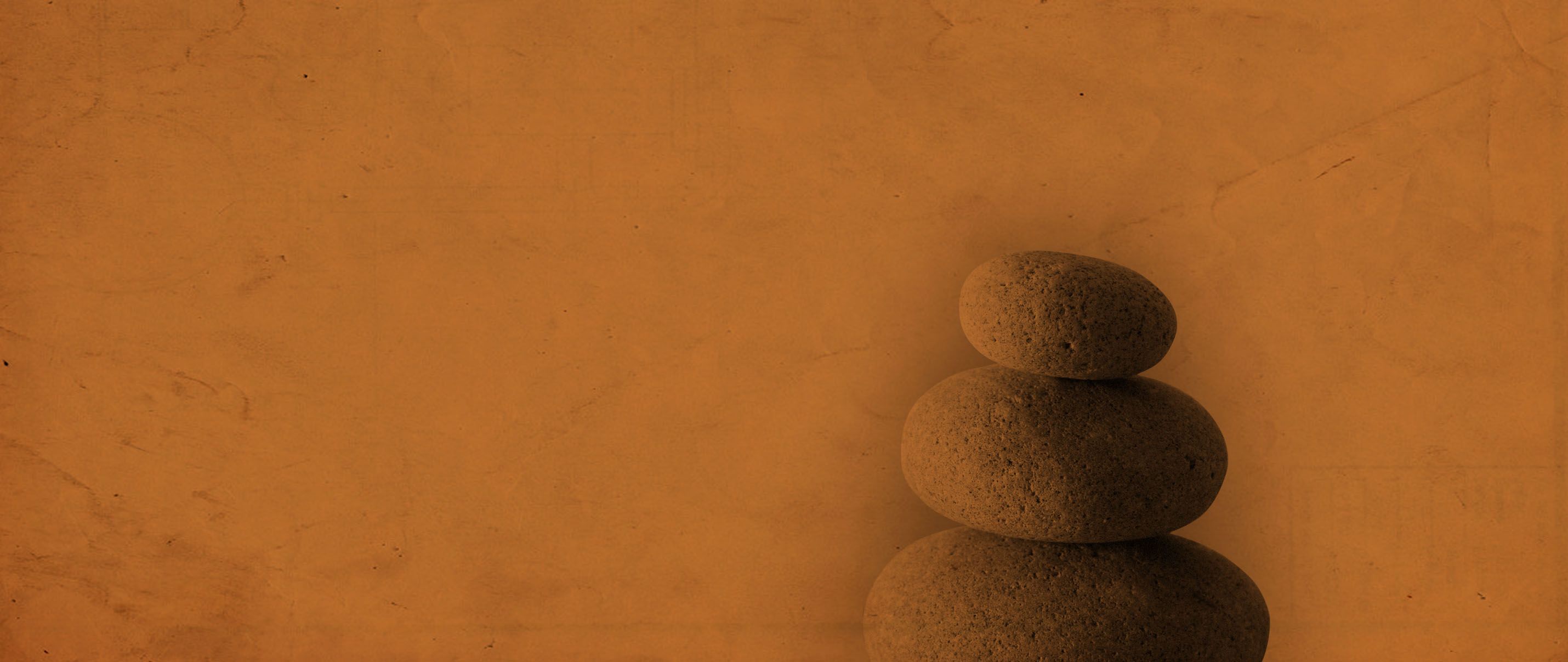 Passion Fisioterapia<br> Robert Gadea